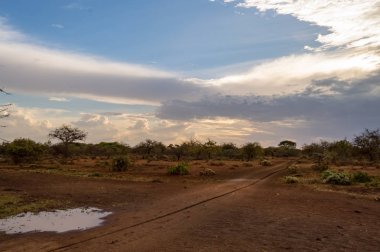 Günbatımı tepeler ve bir yatak ve palmiye ağaçlarının Amboseli k içinde