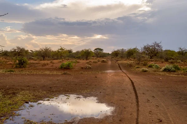 Günbatımı tepeler ve bir yatak ve palmiye ağaçlarının Amboseli k içinde