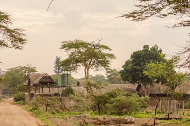 Savannah Kenya'daki Amboseli Park lodge terk edilmiş