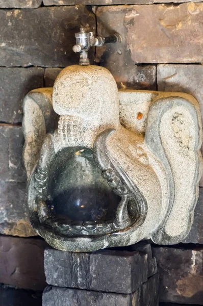 일시 중단 된 새겨진된 돌 변기 — 스톡 사진