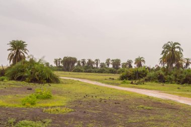 Görünümü bir tepe Amboseli Park Savannah ve bir su birikintisi 