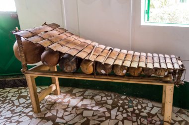 Balafon, etnik, müzikal, enstrüman, hareket, ön görüş, yakın çekim. İçinde geleneksel Afrika marimba müziği var. Dünya çok kültürlü küreselcilik sanatı. Gambiya