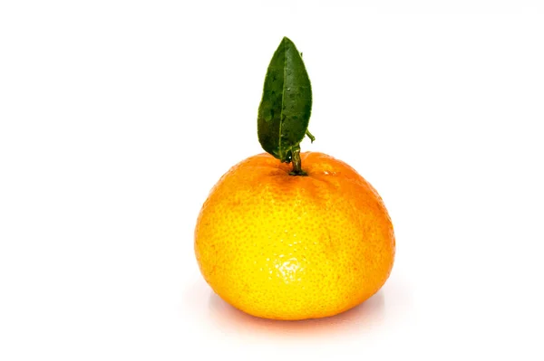 成熟的橘子 叶近在白色的背景 茶树橙 叶白色背景 — 图库照片