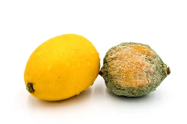 Citrons Pourris Frais Isolers Sur Fond Blanc — Foto de Stock