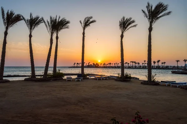 Alba Una Penisola Hurghada Attraverso Una Fila Palme Sul Mar — Foto Stock