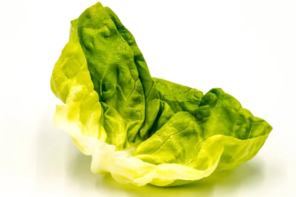 白色背景的新鲜绿色生菜沙拉叶 — 图库照片