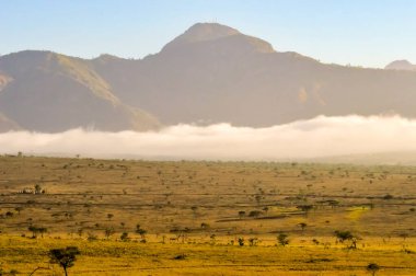 Kenya 'daki Tsavo Batı Parkı' nın ovalarında ve dağlarında sis yükseliyor.