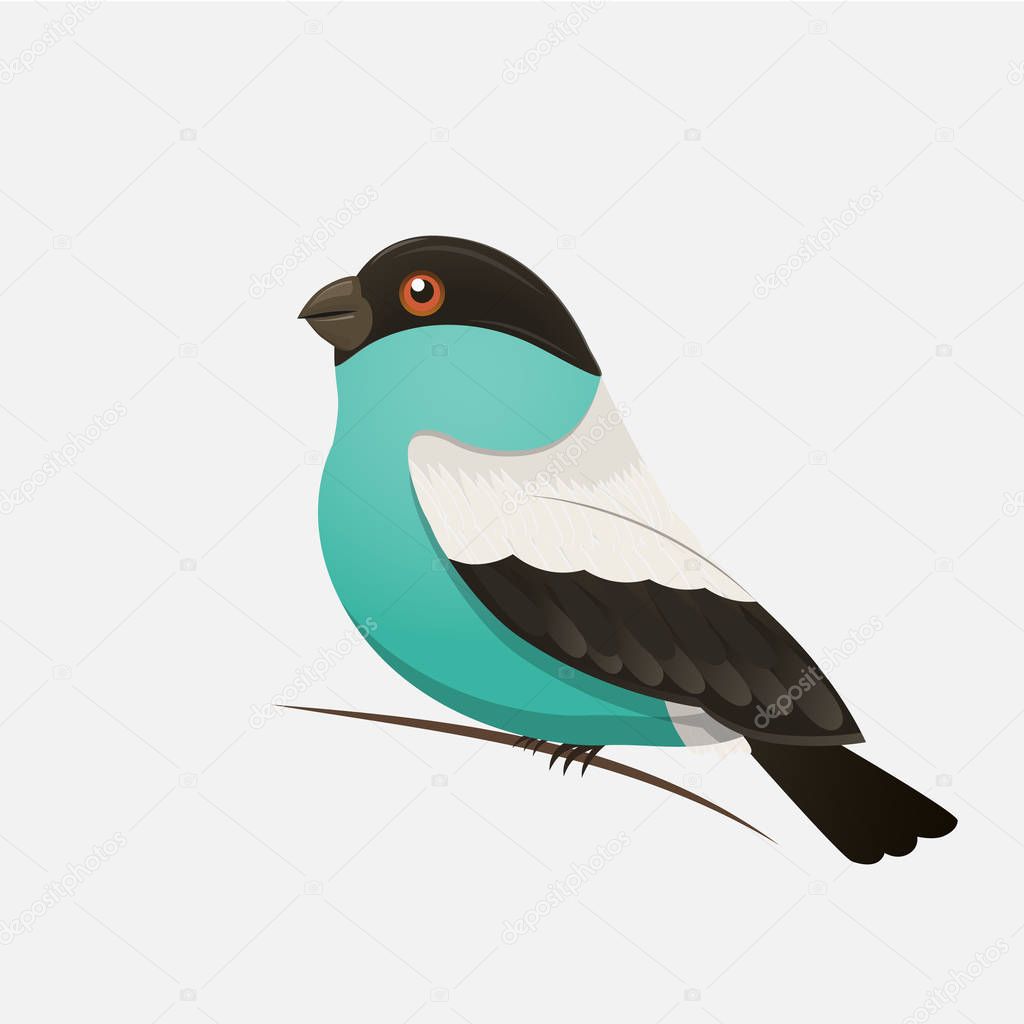 Vector color Bird