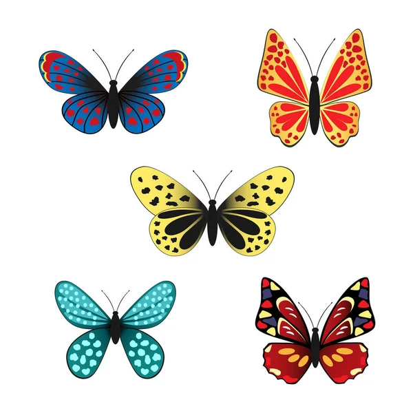 Conjunto de mariposas — Vector de stock