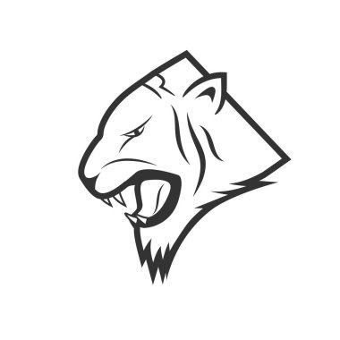 Kaplan baş vektörü