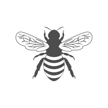 tek renkli resimde arı ile