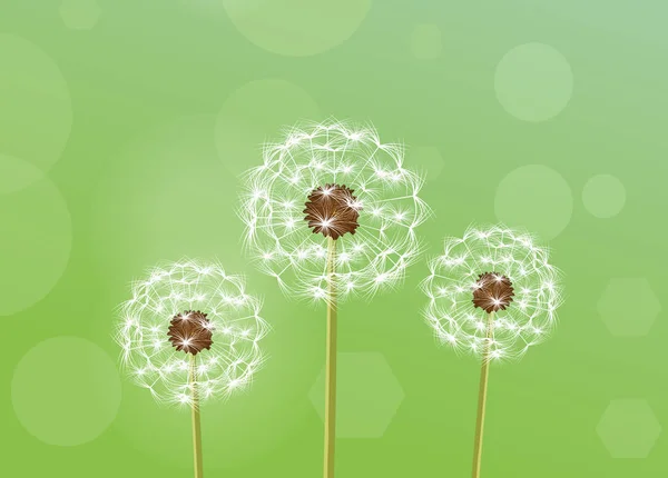 Dandelion. vector illustration — Stock Vector