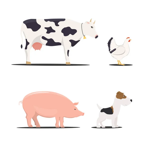 Galinha de fazenda, porco e vaca, cão - ilustrações vetoriais . — Vetor de Stock