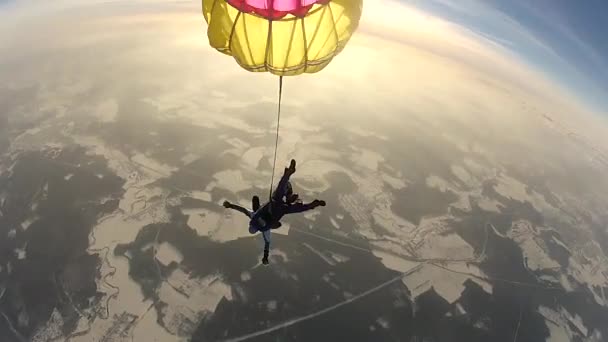 Αλεξίπτωτο Jump Skydiver Ελεύθερη Πτώση — Αρχείο Βίντεο