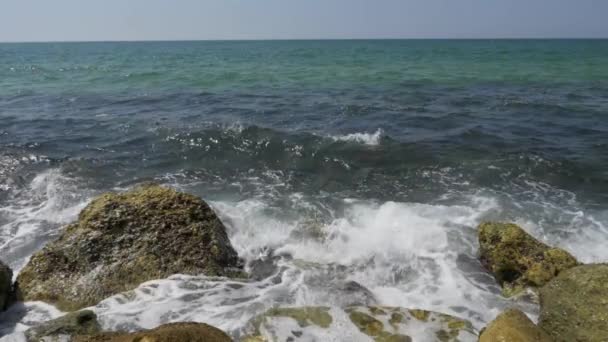 Les vagues de la mer s'écrasent sur la côte rocheuse — Video