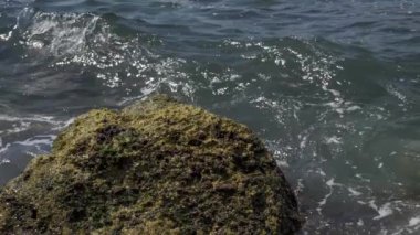 Deniz dalgaları kayalık kıyılara çarpıyor.