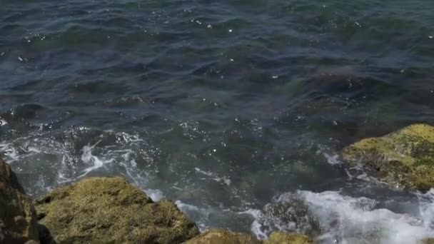 파도가 바위투성이 해안으로 돌진하고 있다 — 비디오