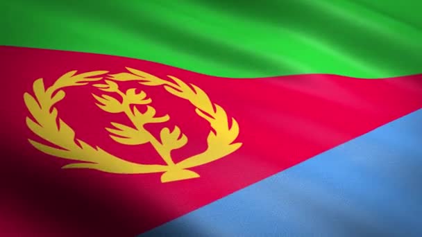 Прапор Еритреї. розмахуючи прапором з дуже деталізованою текстурою тканини, можна отримати безшовне відео. Безшоломна петля з дуже детальною текстурою тканини. Петля готова до резолюції Hd — стокове відео