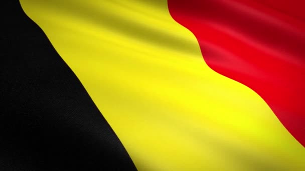 Belgium Flag Loop - golvende vlag met zeer gedetailleerde stof textuur naadloze lus video. Naadloze lus met zeer gedetailleerde stofstructuur. Loop klaar in Hd resolutie — Stockvideo