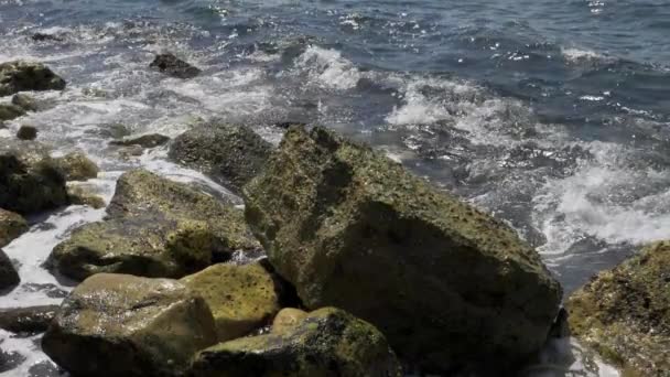 Морские волны давят на скалистый берег — стоковое видео