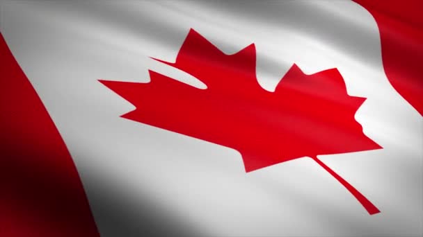 加拿大国旗。 飘扬的旗帜与非常详细的面料纹理无缝漏洞视频。 无缝隙环带,面料质感细腻. 以4k解像度准备好的循环 — 图库视频影像