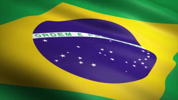 ブラジルの国旗。非常に詳細なファブリックテクスチャシームレスループ可能なビデオでフラグを振る。非常に詳細なファブリックテクスチャとシームレスなループ。4kの解像度で準備ができてループ — ストック動画