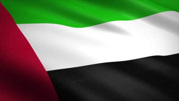 Zászló Egyesült Arab Emírségek. Lengő zászló nagyon részletes szövet textúra zökkenőmentes hurkolható videó. Zökkenőmentes hurok rendkívül részletes szövet textúra. A hurok 4k felbontásban kész — Stock videók