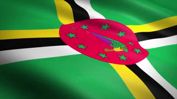 Flagge von Dominica. Flagge schwenkend mit detailverliebter Textur und nahtlosem Video. nahtlose Schlaufe mit sehr detaillierter Textur. Schleife bereit in 4k Auflösung — Stockvideo