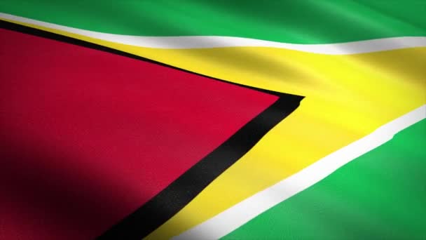 Guyana zászlója. Lengő zászló nagyon részletes szövet textúra zökkenőmentes hurkolható videó. Zökkenőmentes hurok rendkívül részletes szövet textúra. A hurok 4k felbontásban kész — Stock videók