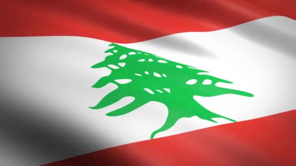 Flag of Lebanon. Waving flag with highly detailed fabric texture seamless loopable video. Seamless loop with highly detailed fabric texture. Loop ready in HD resolution — Stock Video