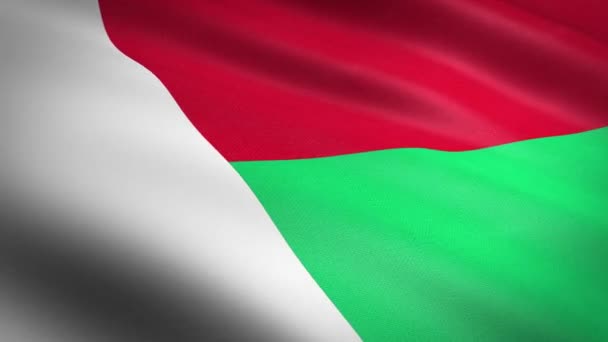 Vlag van Madagaskar. Zwaaien vlag met zeer gedetailleerde stof textuur naadloze loopable video. Naadloze lus met zeer gedetailleerde stofstructuur. Loop klaar in Hd resolutie — Stockvideo