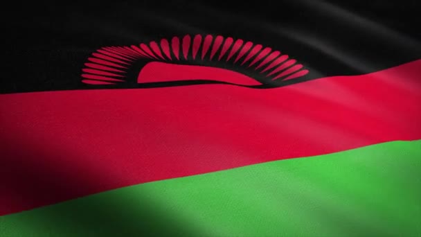 Bendera Malawi. Mengayunkan bendera dengan tekstur kain yang sangat rinci video yang dapat diulang. Pengulangan mulus dengan tekstur kain yang sangat rinci. Lingkaran siap dalam resolusi 4K — Stok Video