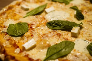 Üç peynirli ince hamurlu taze pişmiş pizza üzerine fesleğen yaprağı ve ahşap masa fotoğrafı.