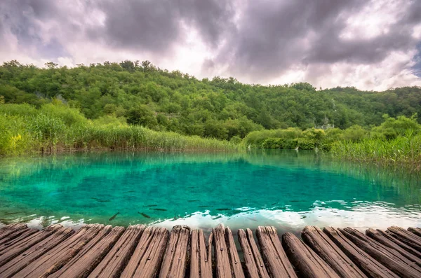 Lacs de Plitvice, Croatie. Parc naturel avec cascades et eau turquoise — Photo