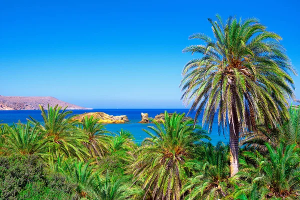 Malebná krajina palm stromy, tyrkysové vody a tropické pláže Vai, Kréta, Řecko. — Stock fotografie
