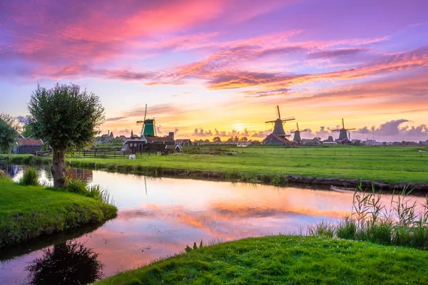 Gün batımında, Hollanda yel değirmenleri, köprü ve nehirde Zaanse Schans'a, Felemenk, Hollanda ile geleneksel köy.