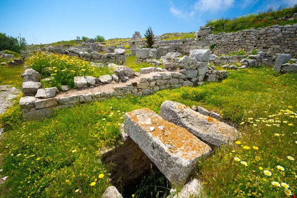 Las ruinas de la antigua Thira, un pueblo prehistórico en la cima de la montaña Mesa Vouno, Santorini, Grecia . — Foto de Stock