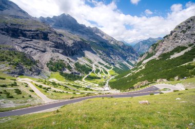 İtalya, Stelvio Ulusal Parkı. Ortler Alpleri 'ndeki Stelvio Geçidi' ne giden ünlü yol. Alp manzarası.