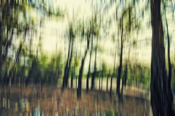 Abstract forest in motion blur ,abstract colorful background