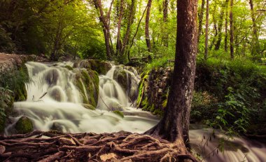 Plitvice Gölleri, Hırvatistan. Şelaleler ve turkuaz su doğal park