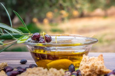 Kase sızma zeytinyağı, zeytin, zeytin ağacı ve Girit Rusk'ı dakos Crete, Yunanistan, yakın taze bir dalı ile.