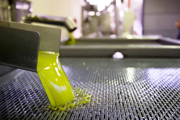 Fresh virgin olive oil pouring into tank at a cold-press factory after the olive harvesting, Crete, Greece.