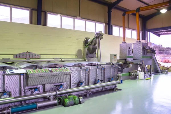 Fresh virgin olive oil production at a cold-press factory after the olive harvesting, Crete, Greece.