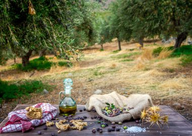 Şişe sızma zeytinyağı, zeytin, zeytin ağacı ve Girit Rusk'ı dakos taze bir dalı ile yakın çekim ahşap masa, Crete, Yunanistan.
