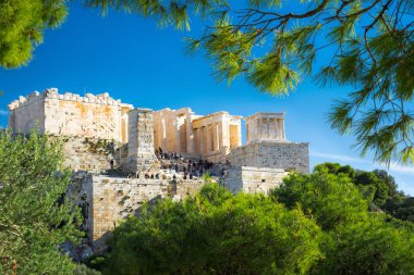 Akropolis ile Parthenon. Yeşil bitkiler ve ağaçlar, Atina, Yunanistan ile bir çerçeveyi görüntüleme.