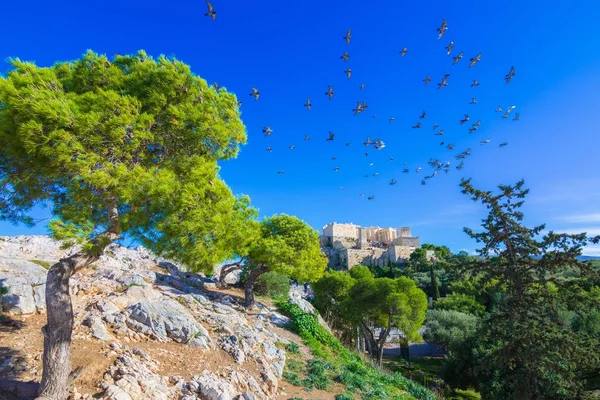 Acrópole Com Partenon Vista Através Uma Moldura Com Plantas Verdes — Fotografia de Stock