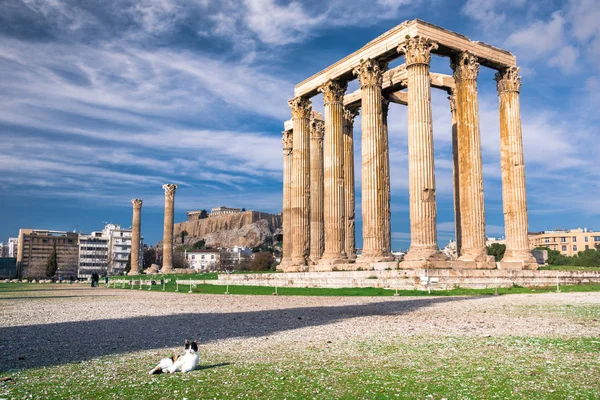 Templo Zeus Olímpico Grego Naos Tou Olimpiou Dios Também Conhecido — Fotografia de Stock