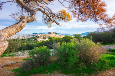 Akropolis ile Parthenon. Bir çerçeve yeşil bitkiler, ağaçlar, antik mermer ve cityscape, Atina, Yunanistan üzerinden görüntülemek.