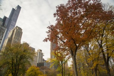 New York - Central Park