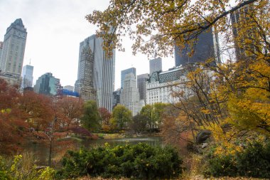 New York - Central Park